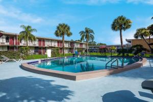 - une piscine dans un complexe avec des palmiers dans l'établissement Red Roof Inn Vero Beach - I-95, à Vero Beach