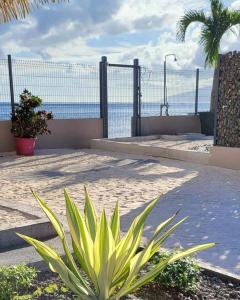 a plant in front of a fence and the ocean at Le Village de Vairao in Vairao