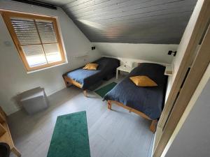 um quarto no sótão com 2 camas e uma janela em Nóra Apartman em Balatonkenese