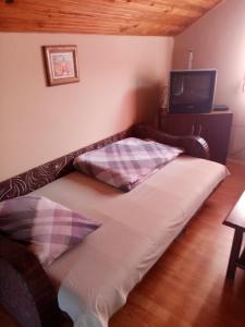 Eine Couch mit zwei Kissen in einem Zimmer mit einem Fernseher in der Unterkunft Vikendica Petkovic in Crvica