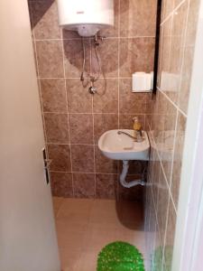 ein kleines Badezimmer mit Waschbecken und Dusche in der Unterkunft Vikendica Petkovic in Crvica + 47 Fotos