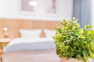 una pianta in vaso in una stanza con un letto di Hotel Solinger Hof a Solingen