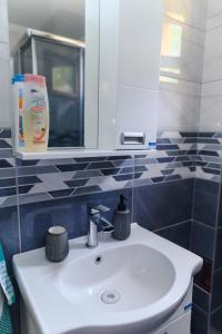 a bathroom with a white sink and a mirror at Green House Latin Grad in Vrmdža