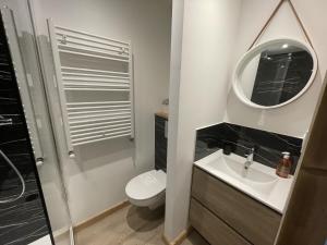 een badkamer met een toilet, een wastafel en een spiegel bij L'Alpage - Serre Chevalier in Saint-Chaffrey