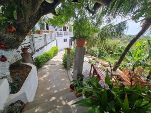 Gallery image of Margarita Lodge in Roatán