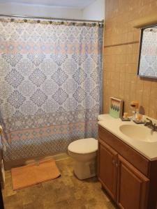 a bathroom with a toilet and a sink and a shower at private upper 1 bd apartment in Buffalo