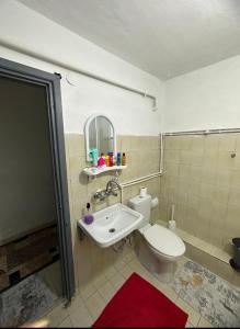 ein Bad mit einem WC, einem Waschbecken und einer Dusche in der Unterkunft A sweet house for families, in Üsküdar in Istanbul