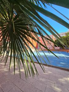 瓦伦西亚Lounge garden sea relax的棕榈树坐在水边的路边