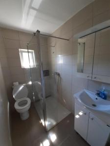 ein Bad mit einer Dusche, einem WC und einem Waschbecken in der Unterkunft Apartman Predah Banja Vrujci in Gornja Toplica