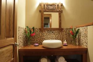 a bathroom with a sink and a mirror at Copa De Arbol Beach & Rainforest Resort in Drake