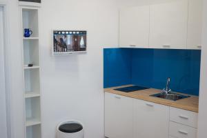 Kuchyň nebo kuchyňský kout v ubytování Apartment Basioli