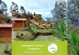 una revista imagen de un modelo de una casa en una colina en Vista Hermosa Eco Hostal, en Carmen de Viboral