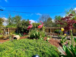 un jardín con flamencos rosas en un patio en Welcome! Colorful 50's Ranch in the Heart of Eugene, en Eugene