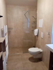 a bathroom with a toilet and a glass shower at Apartments Lucky Jasna - Apartmánový Dom 188 Apartment nr.12 in Belá