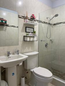 a bathroom with a toilet and a shower and a sink at Jamrock Suites in Kingston +14 photos