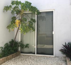 una puerta corredera de cristal con un árbol delante de un edificio en Green Lofts, en Cancún