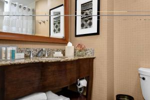 
a bathroom with a sink, toilet and mirror at Hampton Inn Manhattan-Times Square North in New York
