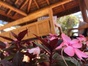 una planta con flores rosas delante de una silla en CASA CANTO DO JAÓ, en Pirenópolis