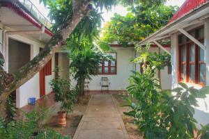 un patio de una casa con un árbol en Casa Albina en Yurimaguas