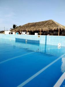 Πισίνα στο ή κοντά στο Bamboleo Club Zorritos