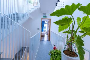 Fotografie z fotogalerie ubytování Nest House Homestay v destinaci Danang