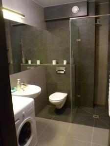 W łazience znajduje się toaleta, umywalka i prysznic. w obiekcie Zachodnia 8th floor apartment w Krakowie