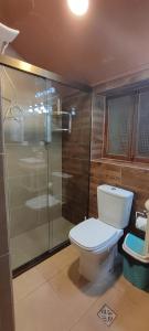 uma casa de banho com um WC e uma cabina de duche em vidro. em Casa Ayacucho em Sucre