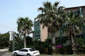 a white car parked in front of a building with palm trees at Jisakke Poongyeong Jeju in Seogwipo