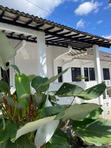 a white house with a green plant in front of it at Sejahtera Homestay in Cangkringan