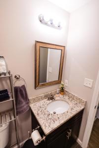 a bathroom with a sink and a mirror at Convenient 2 bedroom 1 bathroom in Saint Louis