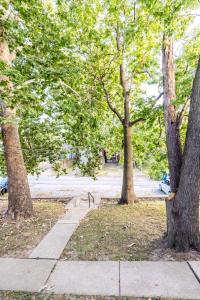 a park with a bench between two trees at Convenient 2 bedroom 1 bathroom in Saint Louis