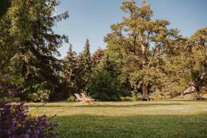 Vonkajšia záhrada v ubytovaní Hotel Brücklwirt