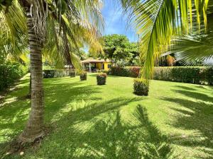 un patio verde con palmeras y una casa en Las Veraneras Villa - Pet Friendly, en Acajutla