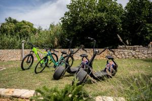 grupa rowerów zaparkowanych na trawie w obiekcie Villa Pag Dubrava Relax with Pool w mieście Pag