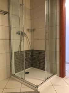 La salle de bains est pourvue d'une douche et d'une cabine de verre. dans l'établissement Apartments Villa Lili, à Umag