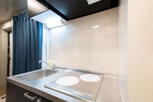 a bathroom with a counter with a sink at Ferio Kamata II in Tokyo