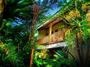 un complejo con balcón en la selva en AUREIRIN GUESTHOUSE en Banyuwangi