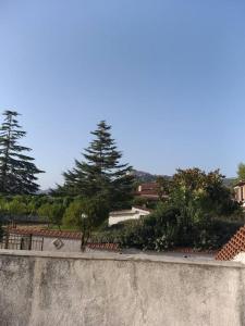 une personne à bord d'un skateboard sur un mur en béton dans l'établissement Villetta a schiera con giardino e terrazza-S.Marco di C.te, à San Marco di Castellabate