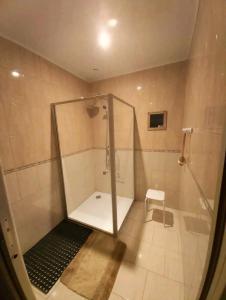 a shower with a glass door in a bathroom at Au Vendangeoir chambres d'hôtes in Couvignon