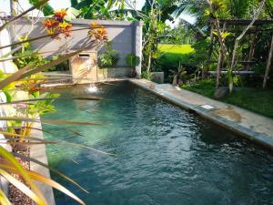 a pool of water in a yard with trees at AUREIRIN Guesthouse in Banyuwangi