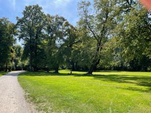 un camino en un parque con árboles y césped en Beautiful City Apartment „Shakespeare“, en Múnich