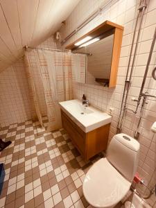 a bathroom with a white toilet and a sink at Skogslund, Skåne in Veberöd