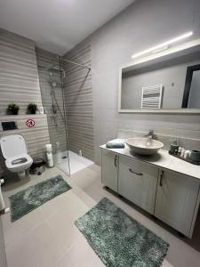 een badkamer met een wastafel, een toilet en een douche bij Green Residence in Suceava