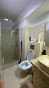 een badkamer met een douche, een toilet en een wastafel bij Bretsara in Bistriţa