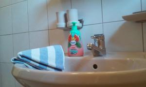 a bathroom sink with a bottle of detergent and a towel at Ferienhaus Hirterhütte in Abtenau