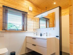a bathroom with a sink and a toilet at Cozy holiday home in Limburg with a beautiful view in Schinnen