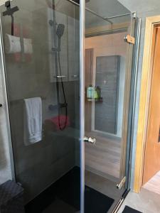 a shower with a glass door in a bathroom at Ruhige Wohnung im Fabrikstil in Chemnitz in Chemnitz