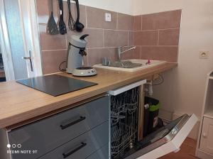 een keuken met een wastafel en een vaatwasser bij Appartement 2 P 5 PER ENTRE BEAUVAL & CHENONCEAU in Montrichard