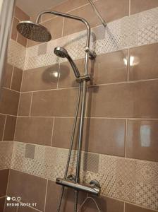 een douche met een douchekop in de badkamer bij Appartement 2 P 5 PER ENTRE BEAUVAL & CHENONCEAU in Montrichard