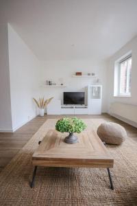 呂貝克的住宿－Wohnen am Park，客厅里摆放着植物的桌子